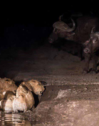 34Terry Ennever Mhangeni 21318 3 Final