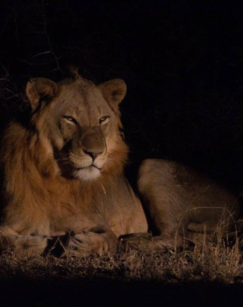 19Frederik Aucamp SP Lions Plus 2 Talamati Males 10 07 2019 1 Final 19Frederik Aucamp SP Lions Plus 2 Talamati Males 10 07 2019 1 Final
