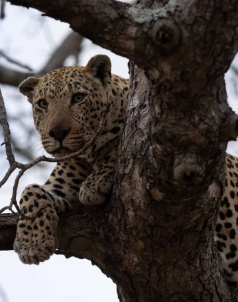 21Tyron Van Der Walt Xovo HR 270820 1 FINAL