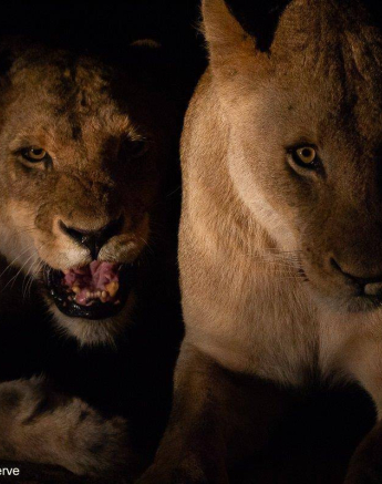 25Greg Heasman Styx 020920 1 Final 25Greg Heasman Styx 020920 1 Final