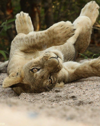 A07Erin Herbst Styx 1 111212 Final A07Erin Herbst Styx 1 111212 Final