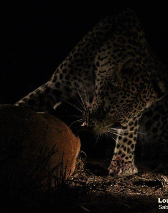 08Louise Murray Ntsumi 27052020 7 Final 08Louise Murray Ntsumi 27052020 7 Final