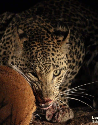 11Louise Murray Ntsumi 27052020 10 Final 11Louise Murray Ntsumi 27052020 10 Final