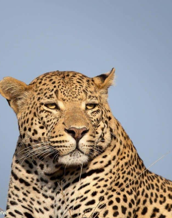 43Greg Heasman White Dam 030920 1 Edit Final 43Greg Heasman White Dam 030920 1 Edit Final