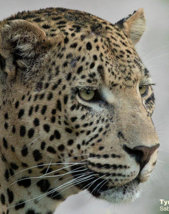 08Tyron Van Der Walt White Dam 030121 2 Final