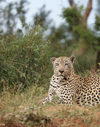 33Marco Vietti Xovo 280321 Final 33Marco Vietti Xovo 280321 Final