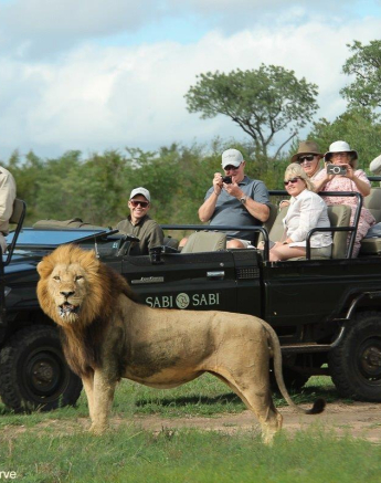 A13Dieter Lategan 20221114 Male Lion Unknown 02 Final A13Dieter Lategan 20221114 Male Lion Unknown 02 Final