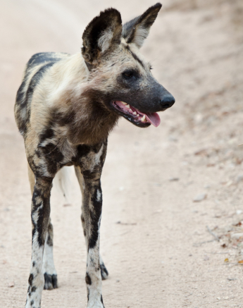 Week In Pictures 24 Week In Pictures 24