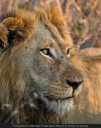 10623592 733706760010311 8674876064587149800 O