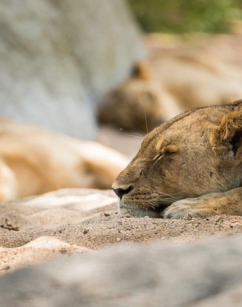 09Terry Ennever MBreakaway 12417 Final 09Terry Ennever MBreakaway 12417 Final