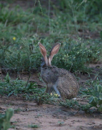 11Steff McWilliam Blog010 Final