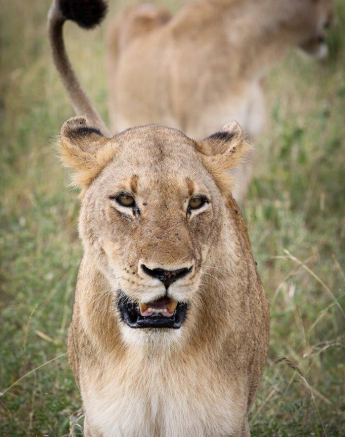 09Ally Ross 20200322 Mhangeni Female 01 Final