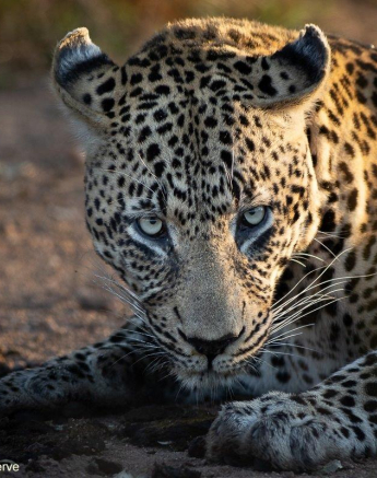 A12Graeme Stewart Nweti 140422 Final