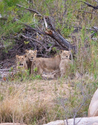 32Kerry Lee Roberg SP311018.4 Final 32Kerry Lee Roberg SP311018.4 Final