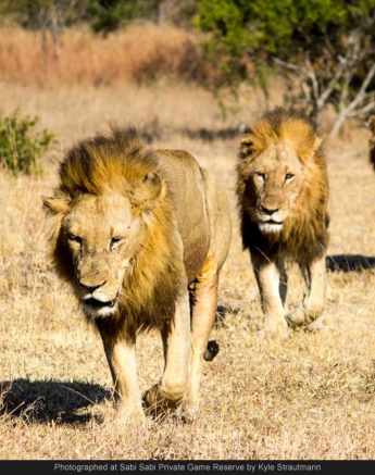 1911942 699739990073655 2136129199673091727 O