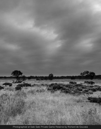 10476377 701402223240765 6244637230715286299 O