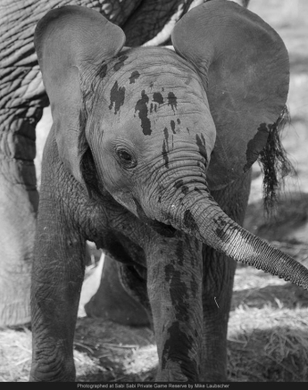 10676366 739619512752369 8995574671817121223 N