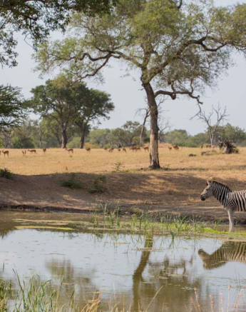 01Pravir Patel Waterhole 01 01Pravir Patel Waterhole 01