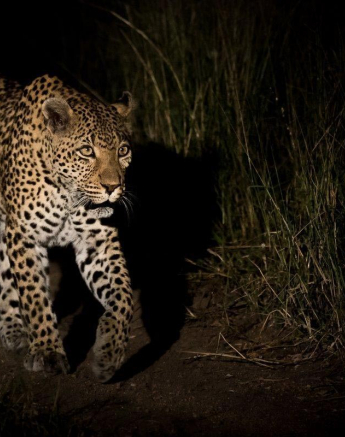 11Sheldon Hooper WD 26 04 17 2