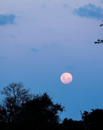 22Sheldon Hooper Moonrise Final