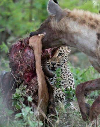 42Richard De Gouveia Ntsumi 10112020 Final 42Richard De Gouveia Ntsumi 10112020 Final