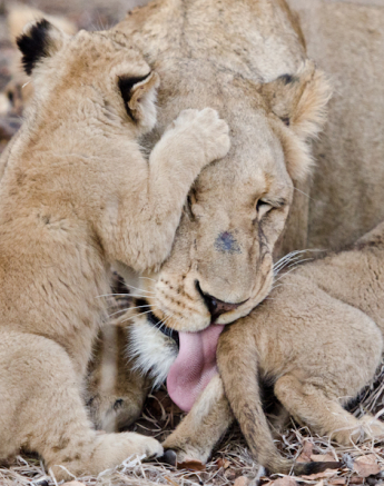 Week In Pictures 18 Week In Pictures 18