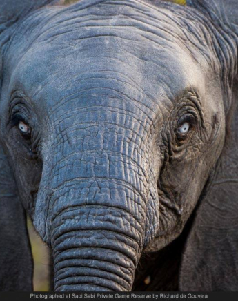 10457459 701956089852045 7744330330722993742 O