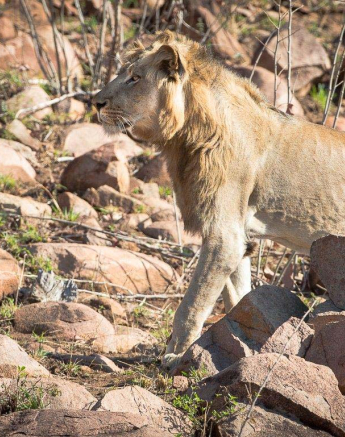 11Terry Ennever Hilders Rock 10 8 16