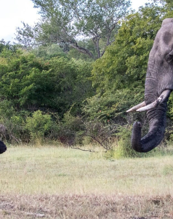 10926831 813433802037606 5187817626870324936 O