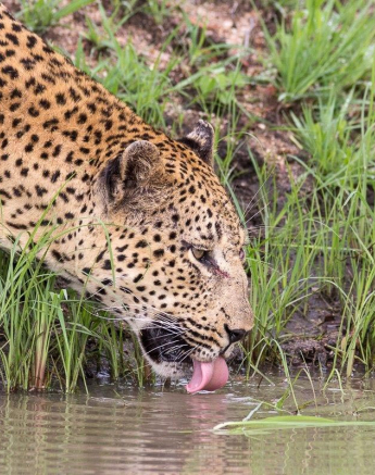 23Franscois Rosslee Max5 Final 23Franscois Rosslee Max5 Final