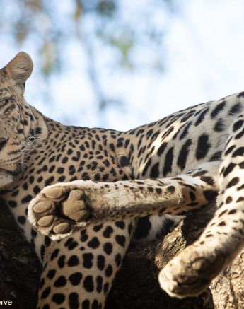 B18Tyron Van Der Walt White Dam 290721 1 Final