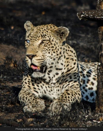 1094071 742429712471349 6654333270985436561 O