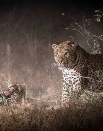 19Terry Ennever WDMSMB 2018510 3 Final 19Terry Ennever WDMSMB 2018510 3 Final