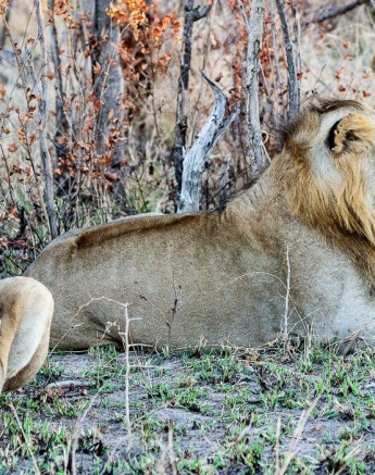 28ronald Mutero Ottawa Break Away 15062021 Final 28ronald Mutero Ottawa Break Away 15062021 Final