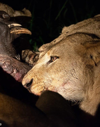 08ronald Mutero Styx 02012023  6 Final