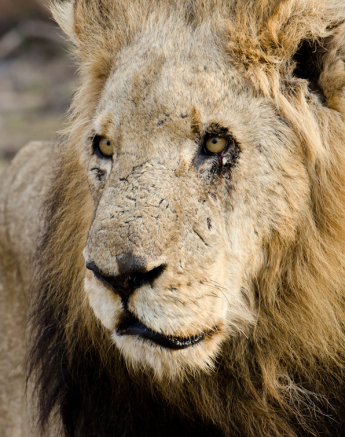 Week In Pictures 11 Week In Pictures 11