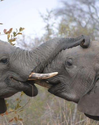 32Ronald Mutero Ele 28072019 1 Final 32Ronald Mutero Ele 28072019 1 Final