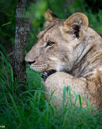 A01ronald Mutero Sp 08122021 Final A01ronald Mutero Sp 08122021 Final