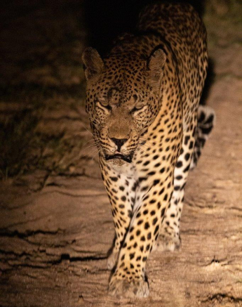 06Greg Heasman Max 14042020 3 Final