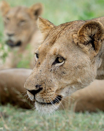 A36ronald Mutero Styx 29112022 2 Final