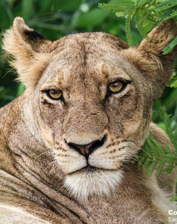 B02Coenraad Stapelberg Styx 130123 2 Final