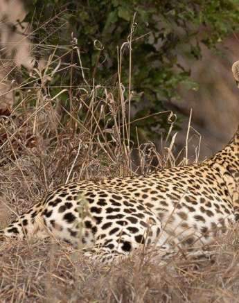 08Graeme Stewart Msuthlu 090720 1 Final