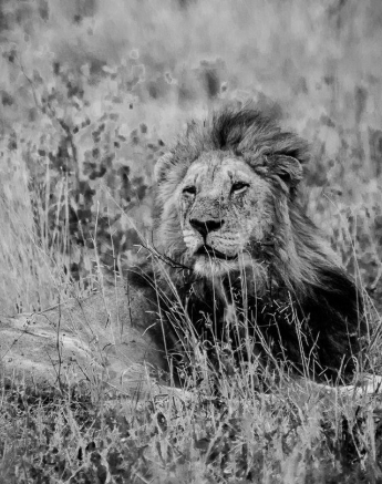 14Kevan Dobbie Matimba Males 2210.2 Final