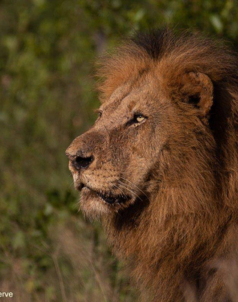 15Brett Heasman Bermingham 21032020 3 Final