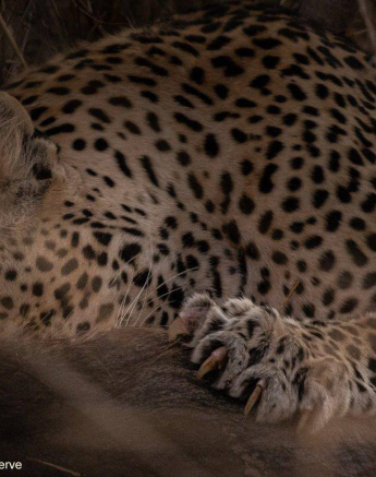 20Graeme Stewart Nweti 090720 1 Final