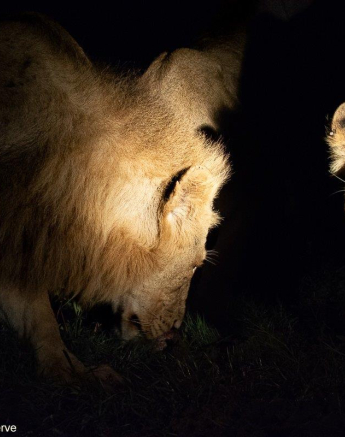 11ronald Mutero Talamati Female 02012023  Final