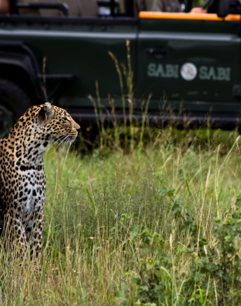 Nottins 1 Nottins 1