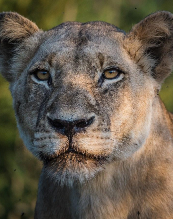 28Terry Ennever SP 3117 2 Final