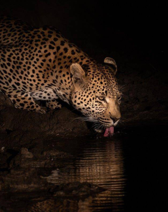 20Kevin Van Der Linde White Dam 21062019 2 Final