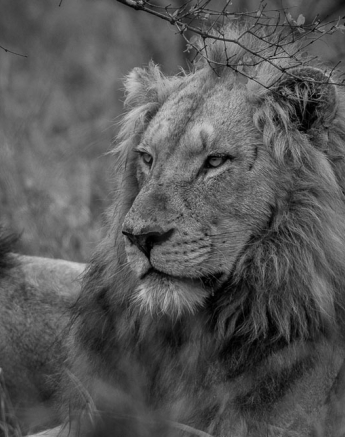 Mike Palmer Fourways Males 1